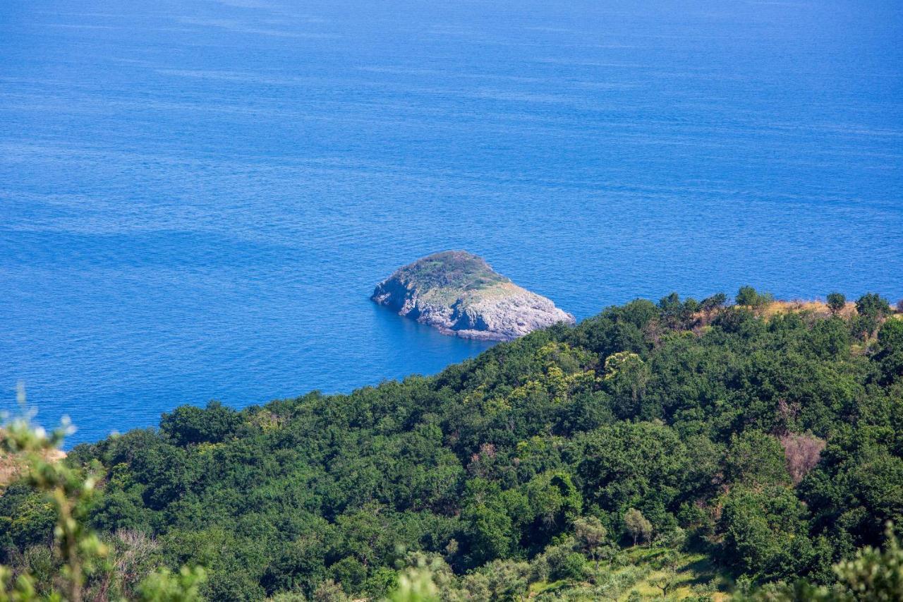 Villa Fedora Sea&Stars Маса Лубрензе Екстериор снимка