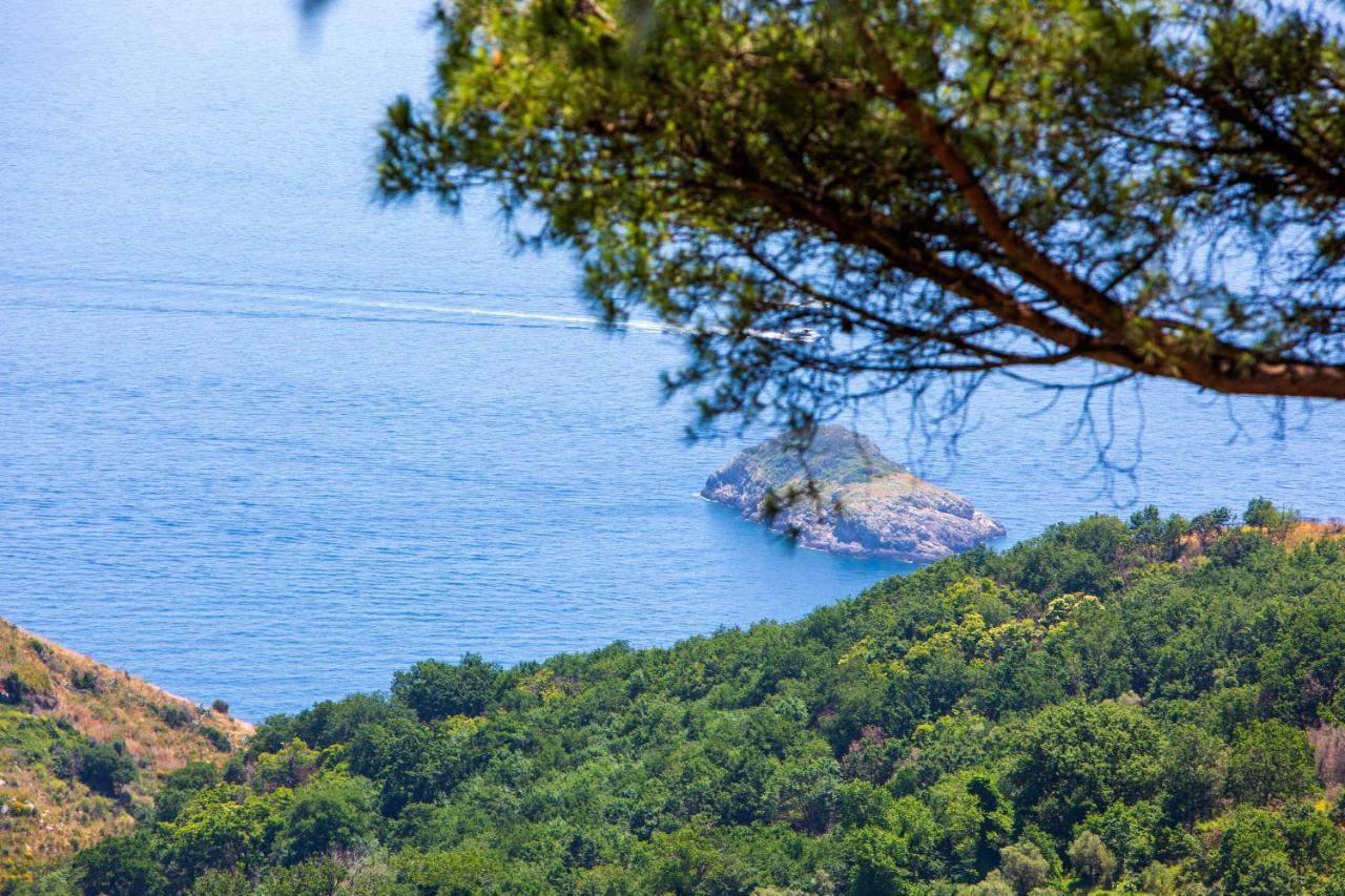 Villa Fedora Sea&Stars Маса Лубрензе Екстериор снимка