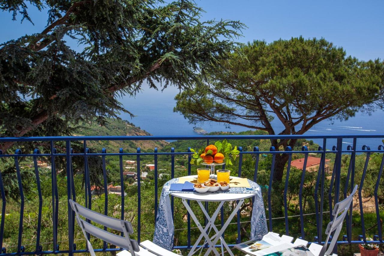 Villa Fedora Sea&Stars Маса Лубрензе Екстериор снимка